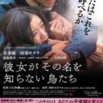 Птицы, Которых Она Никогда Не Знала Постер